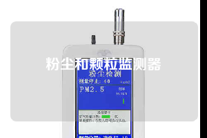 粉尘和颗粒监测器