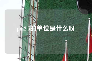 pm2.5的单位是什么呀