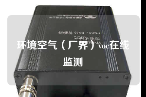 环境空气（厂界）voc在线监测